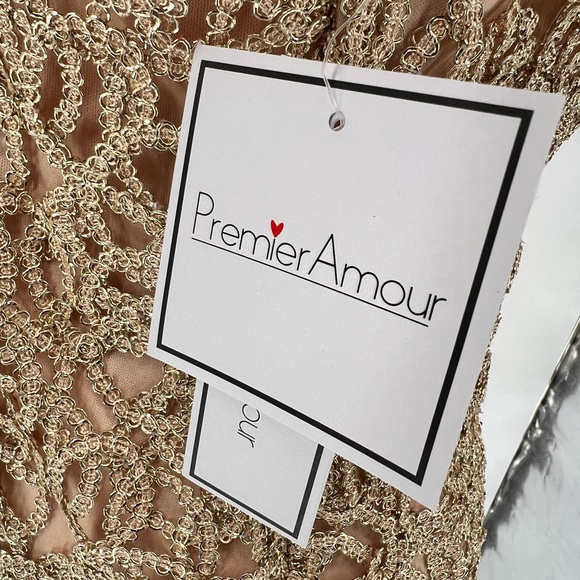 NWT Premier Amour Short Sleeve Sheath Lace Dress - Picture 12 of 14